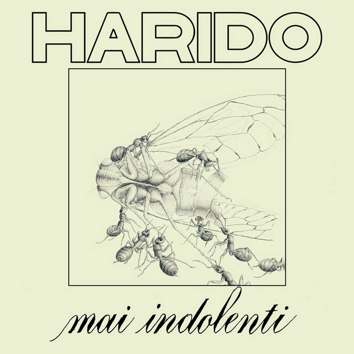 HARIDO - Mai Indolenti cover 