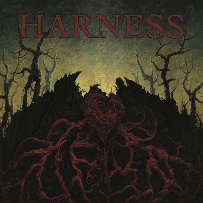 HARNESS - Disgrace / Harness cover 