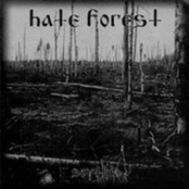 HATE FOREST - Scythia cover 