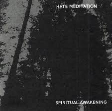 HATE MEDITATION - Spiritual Awakening cover 