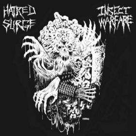 HATRED SURGE - Insect Warfare / Hatred Surge cover 