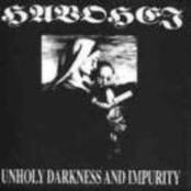 HAVOHEJ - Unholy Darkness and Impurity cover 