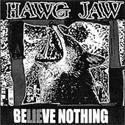 HAWG JAW - BeLIEve Nothing cover 