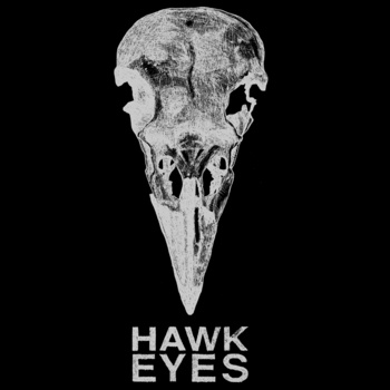 HAWK EYES - Hawk Eyes Live in Amsterdam cover 