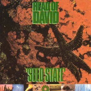 HEAD OF DAVID - Seed State cover 