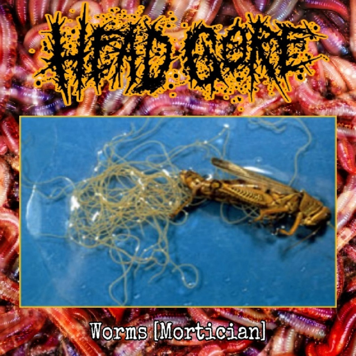 HEADGORE - Worms (Mortician Cover) cover 