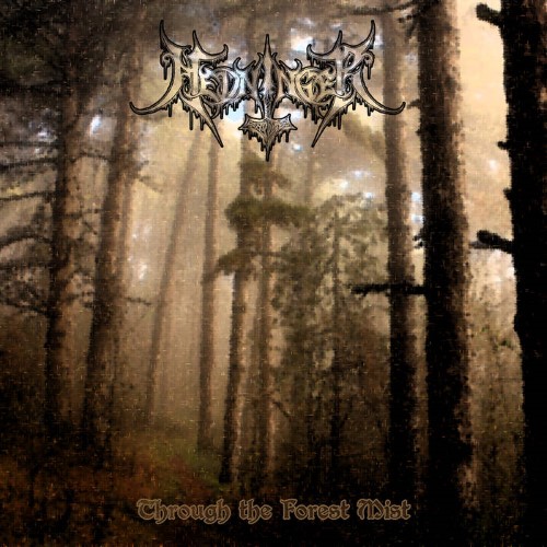 HEDNINGER - Through the Forest Mist cover 