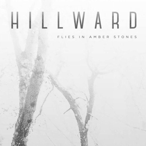 HILLWARD - Flies In Amber Stones cover 