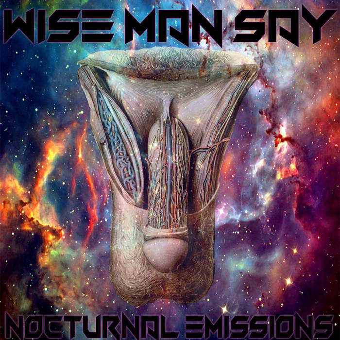 WISE MAN SAY - Nocturnal Emissions cover 