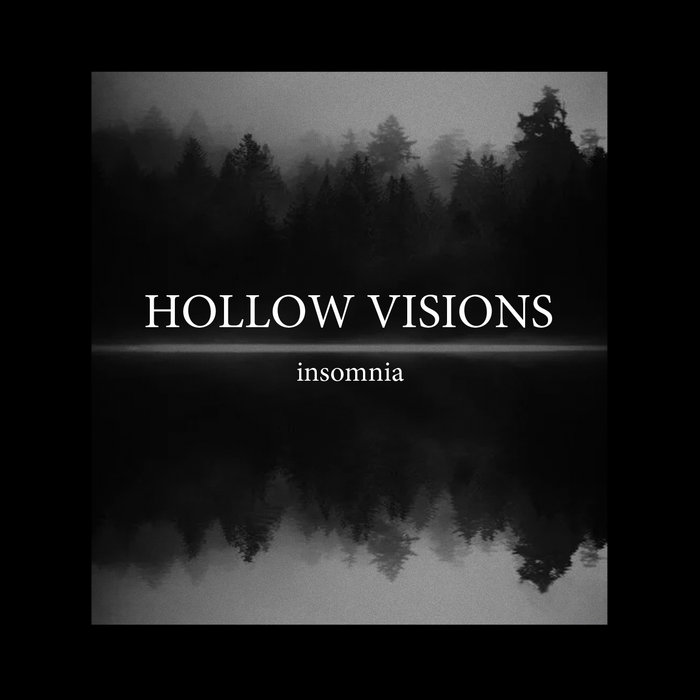HOLLOW VISIONS - Insomnia cover 