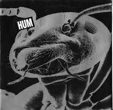 HUM - Sundress cover 