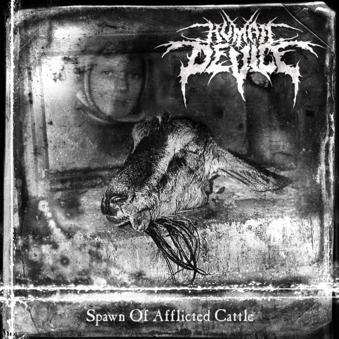 HUMAN DEVICE - Spawn Of Afflicted Cattle cover 