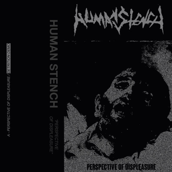 HUMAN STENCH - Perspective Of Displeasure cover 