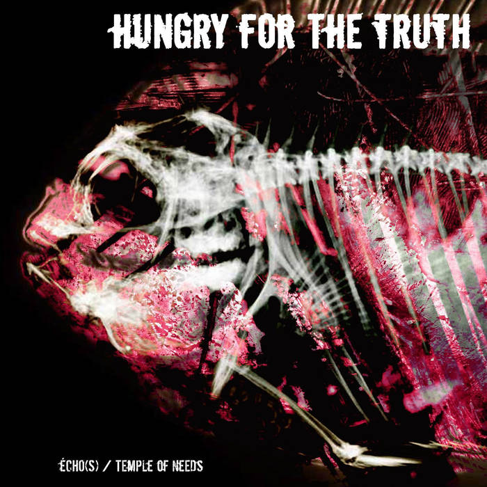 HUNGRY FOR THE TRUTH - Écho​(​s) & Temple Of Needs cover 