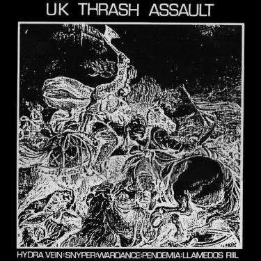 HYDRA VEIN - UK Thrash Assault cover 