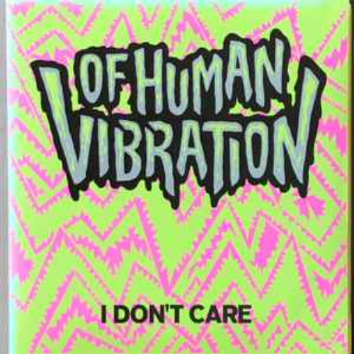 I DON'T CARE - Vibration Of Human cover 