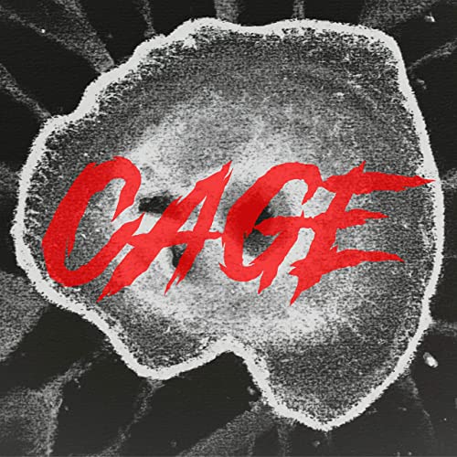 ICE SEALED EYES - Cage cover 