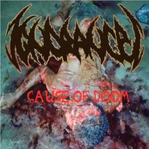 IGNORANCE (MG) - Cause Of Doom cover 
