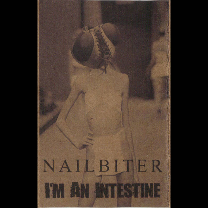I'M AN INTESTINE - Nailbiter / I'm An Intestine cover 