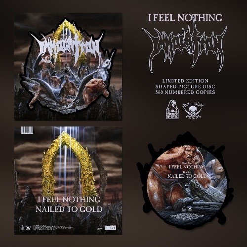 IMMOLATION - I Feel Nothing cover 