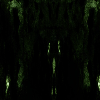 IMPETUOUS RITUAL - Unholy Congregation of Hypocritical Ambivalence cover 