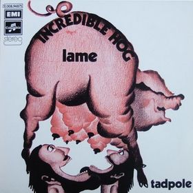 INCREDIBLE HOG - Lame / Tadpole cover 