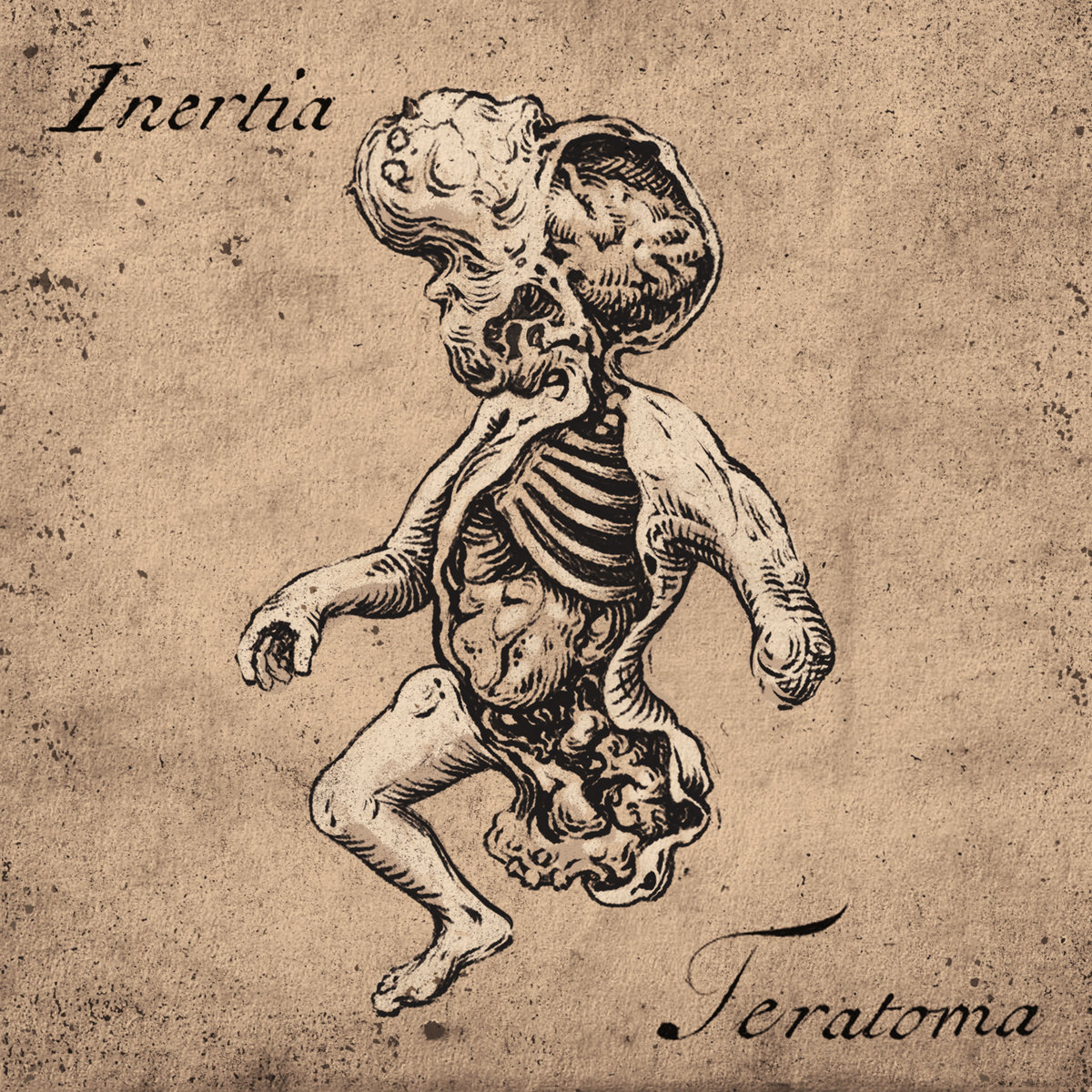 INERTIA (NY) - Teratoma cover 