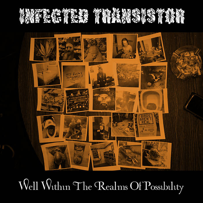 INFECTED TRANSISTOR - Well Within The Realms Of Possibility cover 