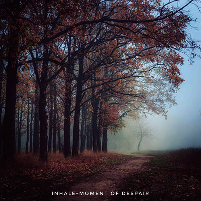 INHALE - Moment Of Despair cover 