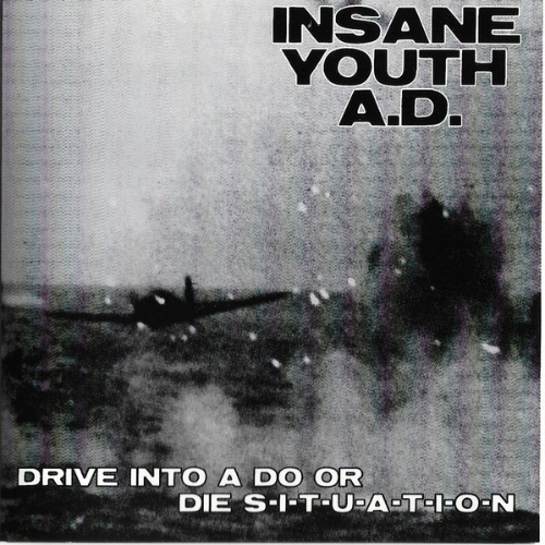 INSANE YOUTH A.D. - Drive Into A Do Or Die Situation cover 