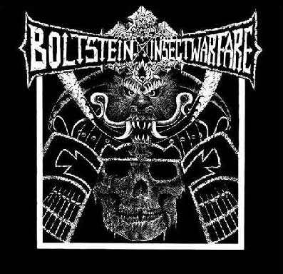 INSECT WARFARE - Bolt Stein / Insect Warfare cover 
