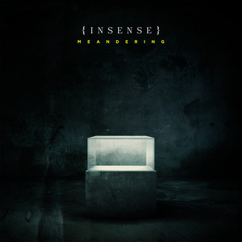 INSENSE - Meandering cover 