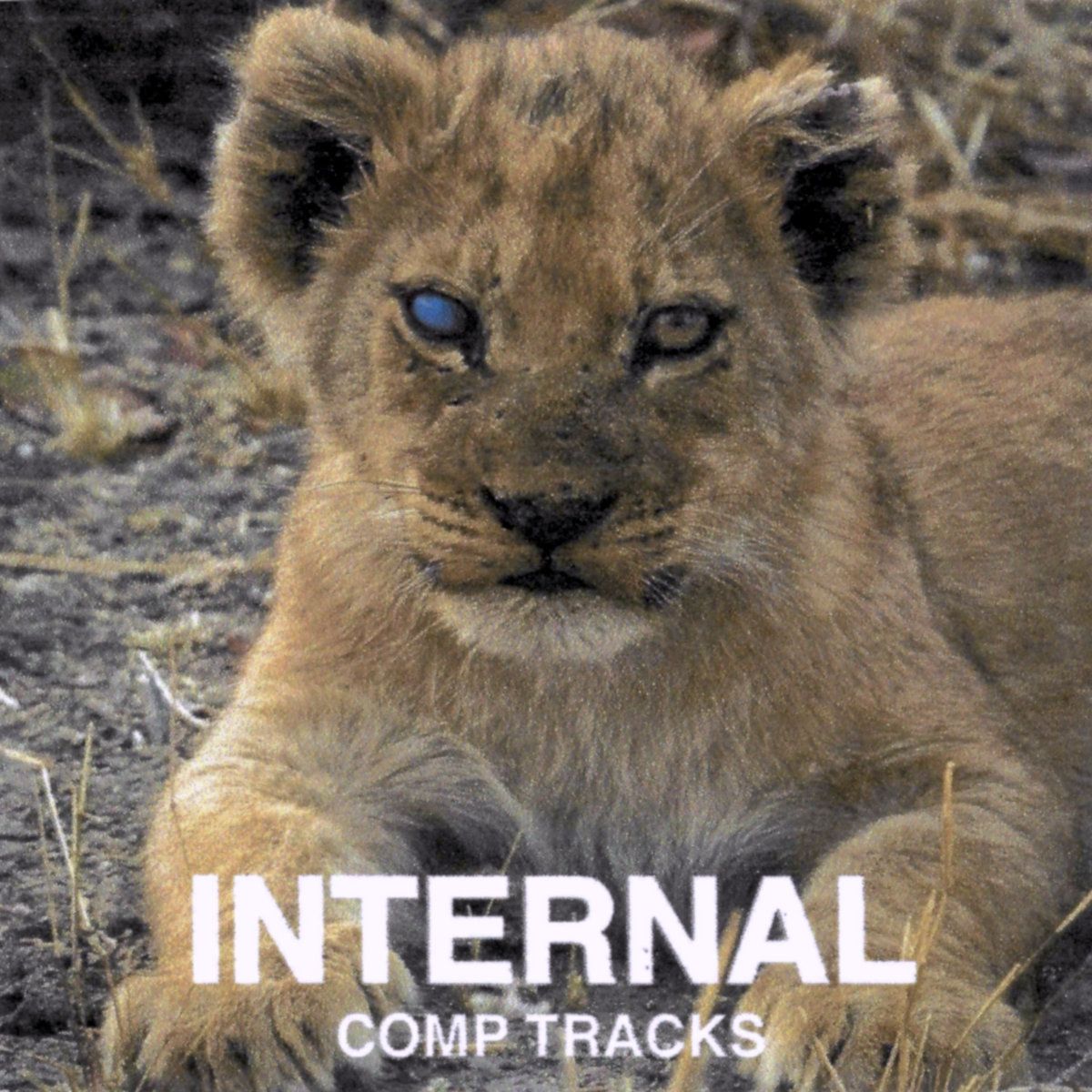 INTERNAL (MA) - Comp Tracks cover 