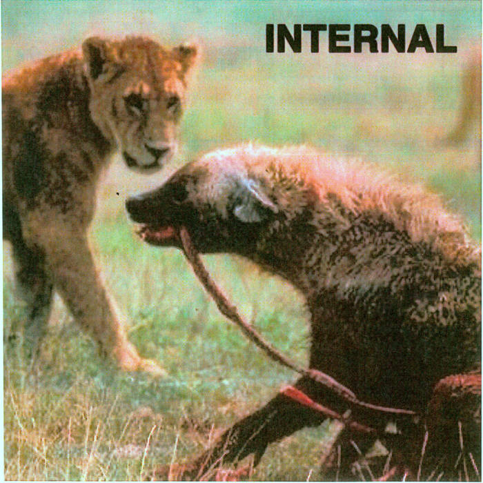 INTERNAL (MA) - Internal cover 