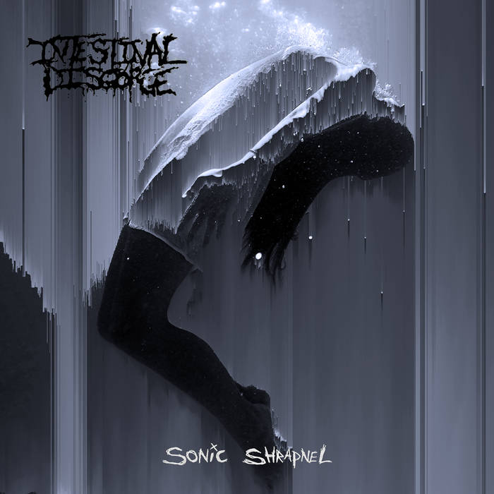 INTESTINAL DISGORGE - Sonic Shrapnel cover 