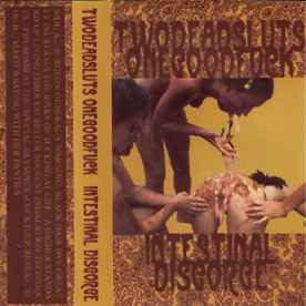 INTESTINAL DISGORGE - Twodeadsluts Onegoodfuck / Intestinal Disgorge cover 