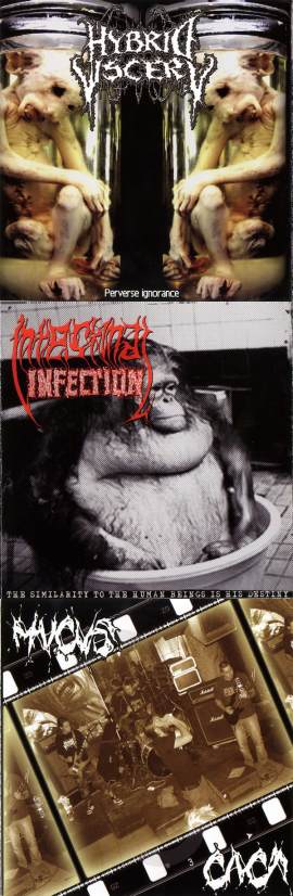 INTESTINAL INFECTION - Perverse Ignorance / The Similarity to the Human Beings Is His Destiny / Caca cover 