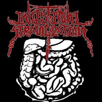 INTESTINAL STRANGULATION - Intestinal Strangulation cover 
