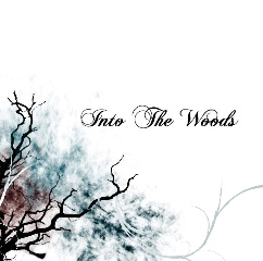 INTO THE WOODS - Into the Woods cover 