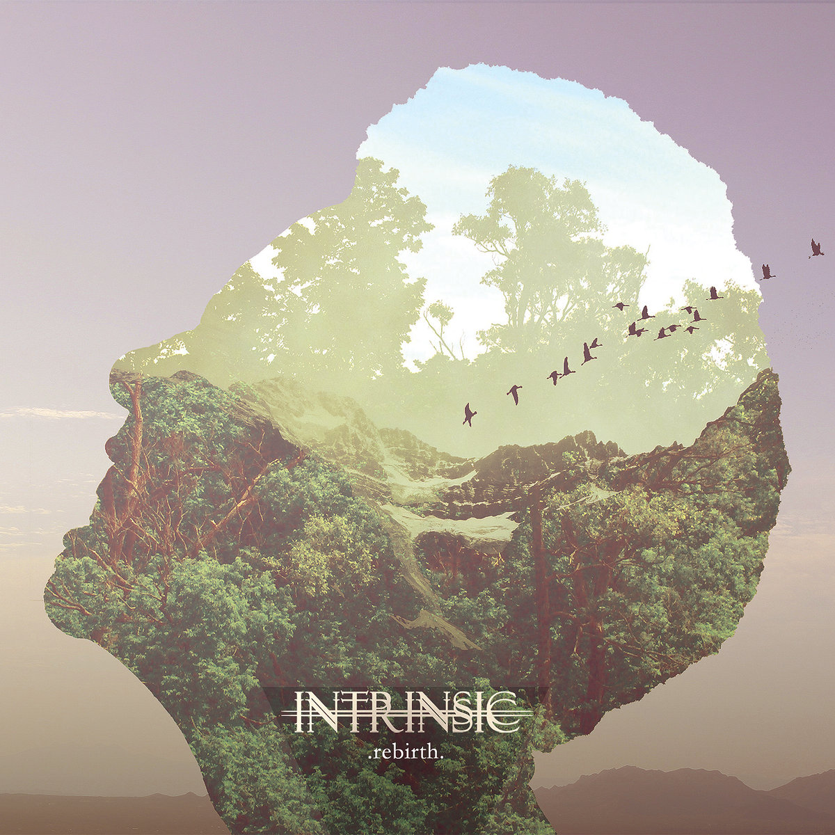 INTRINSIC (MN) - Rebirth cover 