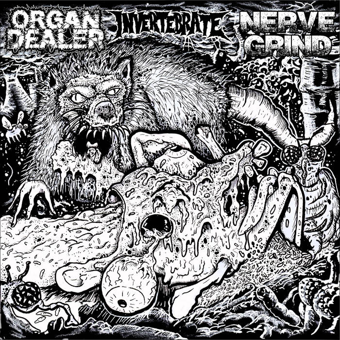 INVERTEBRATE - Organ Dealer / Nerve Grind / Invertebrate cover 