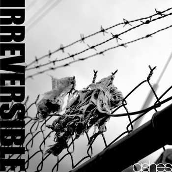IRREVERSIBLE - Ashes cover 