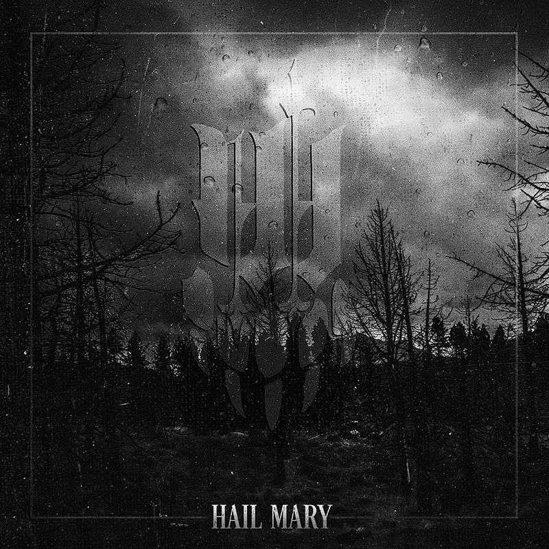 IWRESTLEDABEARONCE - Hail Mary cover 