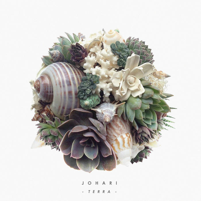 JOHARI - Terra cover 