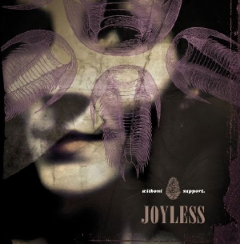 JOYLESS - Without Support cover 