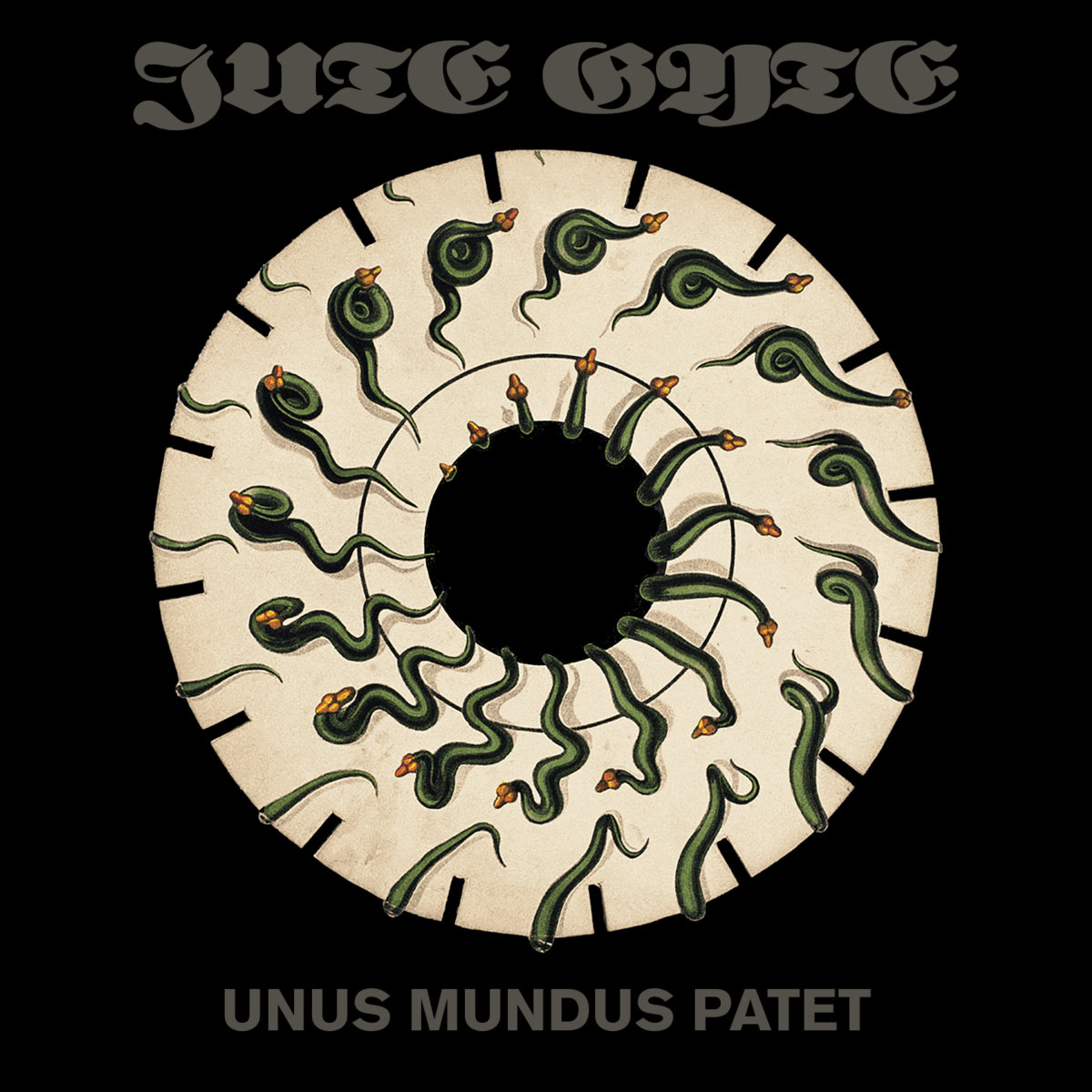 JUTE GYTE - Unus Mundus Patet cover 