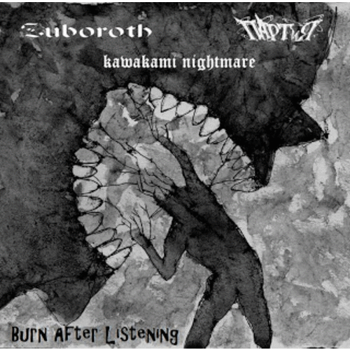 KAWAKAMI NIGHTMARE - Burn After Listening cover 