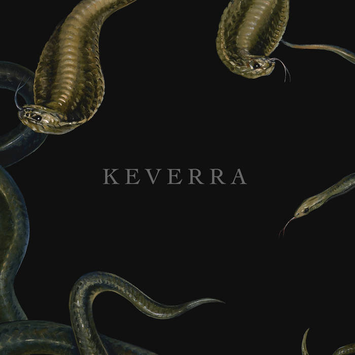 KEVERRA - Keverra cover 