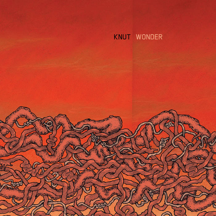KNUT - Wonder cover 