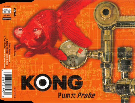 KONG - Pumπ Probe cover 